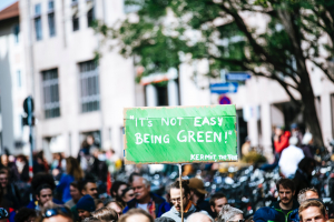 Climate-active shoppers: Do they differ?