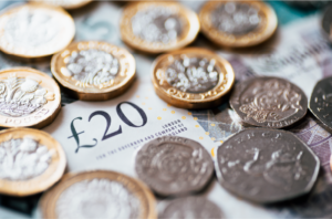 Net impact of inflation on Private Labels and Brands